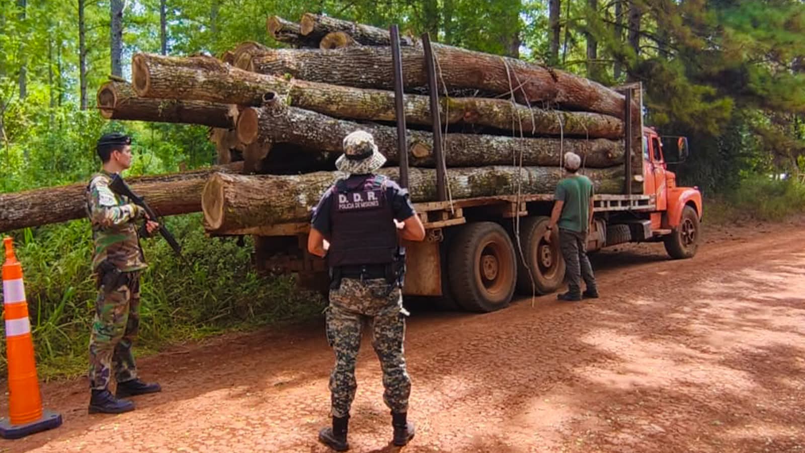 Golpe al tráfico ilegal de madera en #Misiones: secuestran camiones y rollos nativos sin documentación